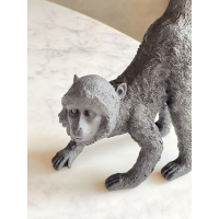 Monkey black 