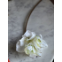 Zijden Amaryllis wit 80cm