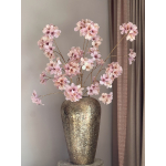Azalea Vivaldi 