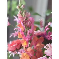 Zijden boeket in Daisy vaas