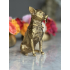 Chihuahua beeld gold