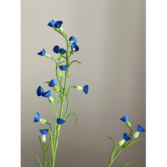 Mini Nicotiana blue 75cm