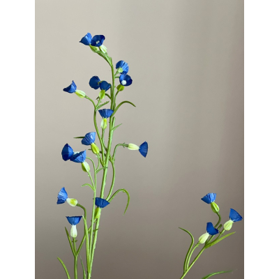 Mini Nicotiana blue 75cm