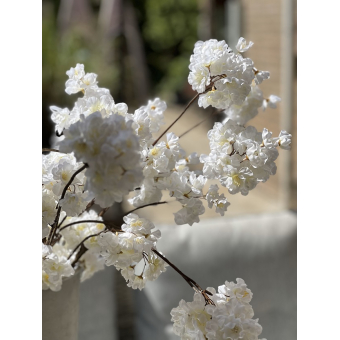 Tak zijde Prunus créme 84 cm