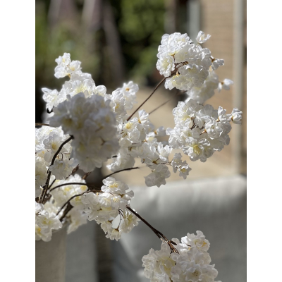 Tak zijde Prunus créme 84 cm