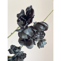 Vaas inclusief Bloesem tak