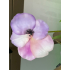 Zijden boeket lila/roze/wit