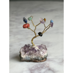 Mini Bonsai boom gemengd