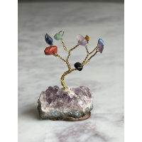 Mini Bonsai boom gemengd