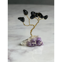 Mini Bonsai boom zwart