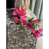 Bougainville tak 75cm fuchsia