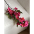 Bougainville tak 75cm fuchsia