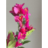 Bougainville tak 75cm fuchsia