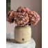 Hortensia pink salmon 40cm