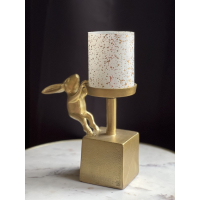 Hurricane Rabbit Diga Colmore