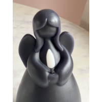 Led engel countryfield