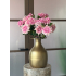 Dahlia Sharon 60cm