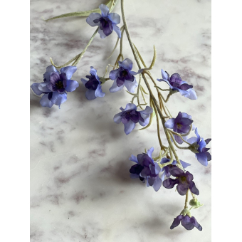 Delphinium 75cm