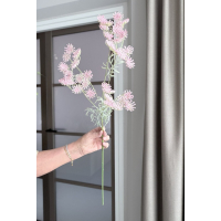 Wildwortel roze