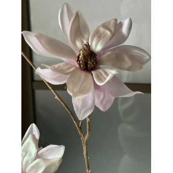 Magnolia tak Vivaldi