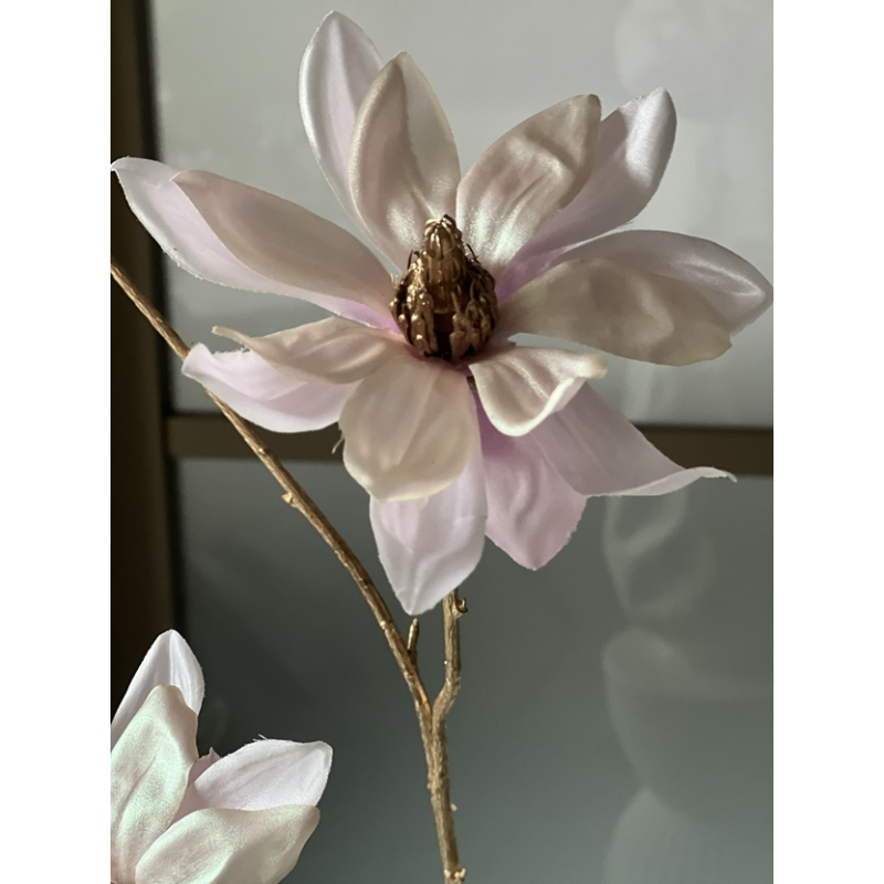 Magnolia tak Vivaldi