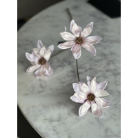 Magnolia tak Vivaldi