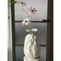 Magnolia tak Vivaldi