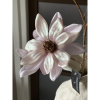 Magnolia tak Vivaldi