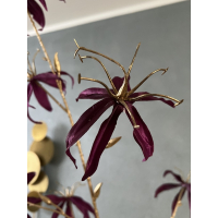 Gloriosa tak paars/goud 108cm