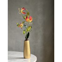 Zijde Gloriosa tak in Vaas