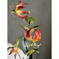 Zijde Gloriosa tak in Vaas