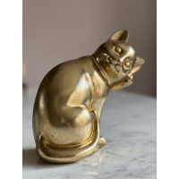 Kat beeld Gold