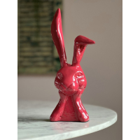 Vaas Pink Diga Colmore 