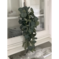 Toef hang Eucalyptus groen