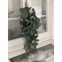 Toef hang Eucalyptus groen