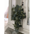 Toef hang Eucalyptus groen