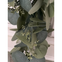 Toef hang Eucalyptus groen