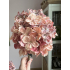 Hortensia pink salmon 40cm