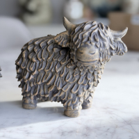 Schotse Hooglander rechts