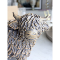 Schotse Hooglander rechts