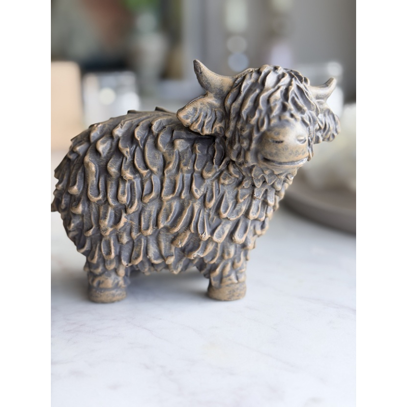 Schotse Hooglander rechts