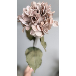 Hortensia tak zijde 68cm