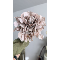 Hortensia tak zijde 68cm