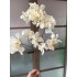 Wild Hydrangea spray 85cm Vanilla