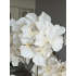 Wild Hydrangea spray 85cm Vanilla