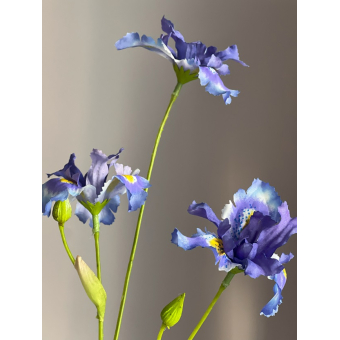 Silk-Ka Iris tak 86cm