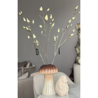 Magnolia knoppen tak