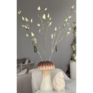 Magnolia knoppen tak