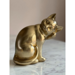 Kat beeld Gold
