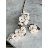 Bloesem tak goud/creme